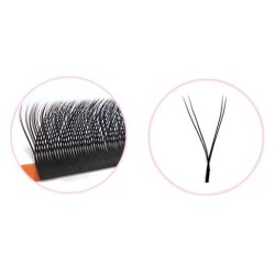 Y Lashes 2D Pre Made Volume