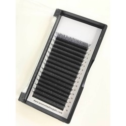 Y Lashes 2D Pre Made Volume